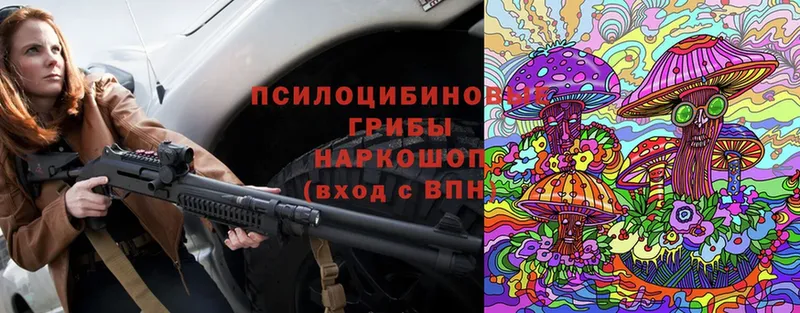 Псилоцибиновые грибы Magic Shrooms  Будённовск 